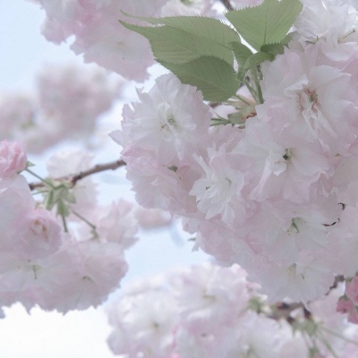 Furry插画氛围营造干货福瑞群